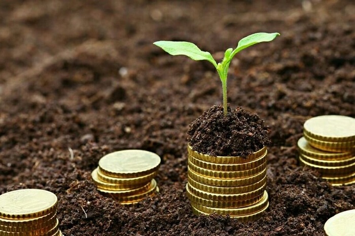 Planificación financiera en Argentina